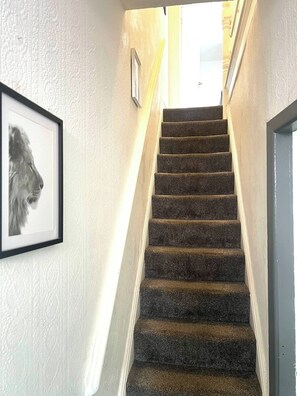 Slaapzaal, 1 slaapkamer | Interieur