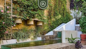 A courtyard with a water feature, potted plants, and a building with balconies. - The Ava Unit 16 | 2BR/3BA Puerto Vallarta, pool, gym, hot tub (Puerto Vallarta)