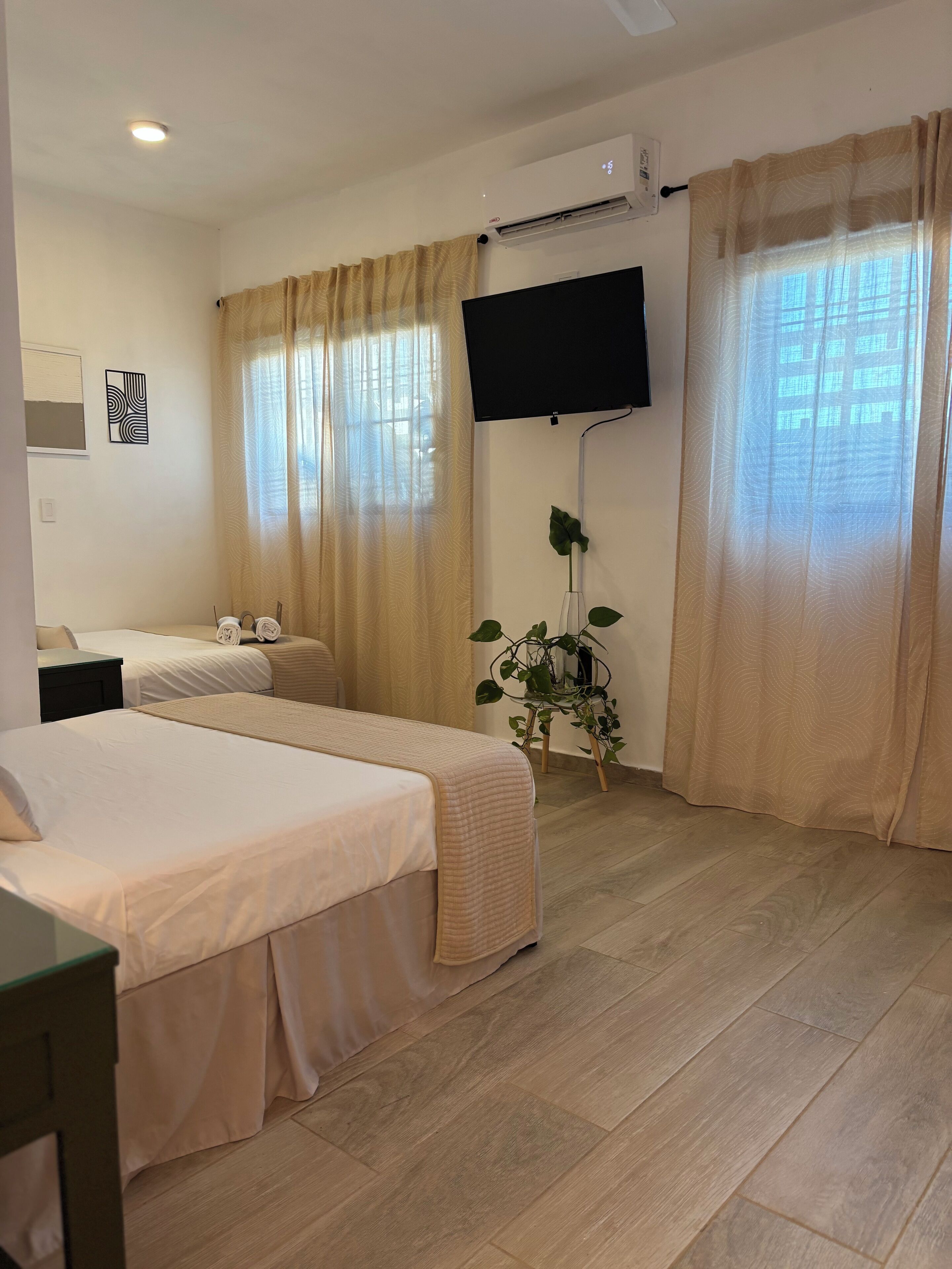 Habitación de hotel con dos camas, un televisor de pantalla plana montado en la pared y una planta en maceta.