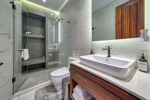 Shower, hair dryer, towels