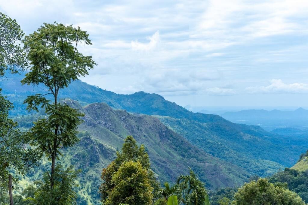 Un paisaje montañoso con abundante vegetación y cielo despejado.