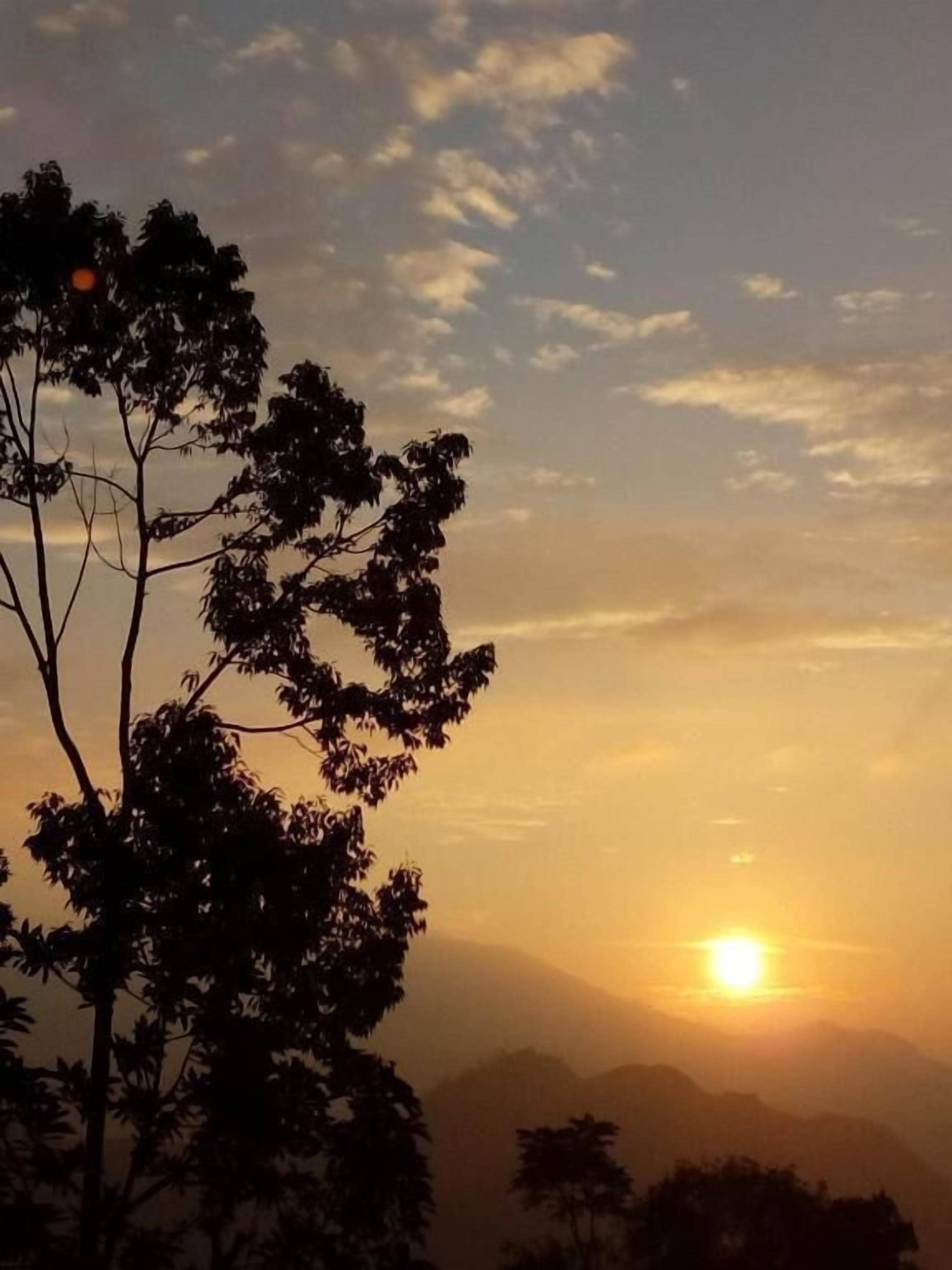 A sunset with the sun low on the horizon, silhouetted trees, and distant mountains.