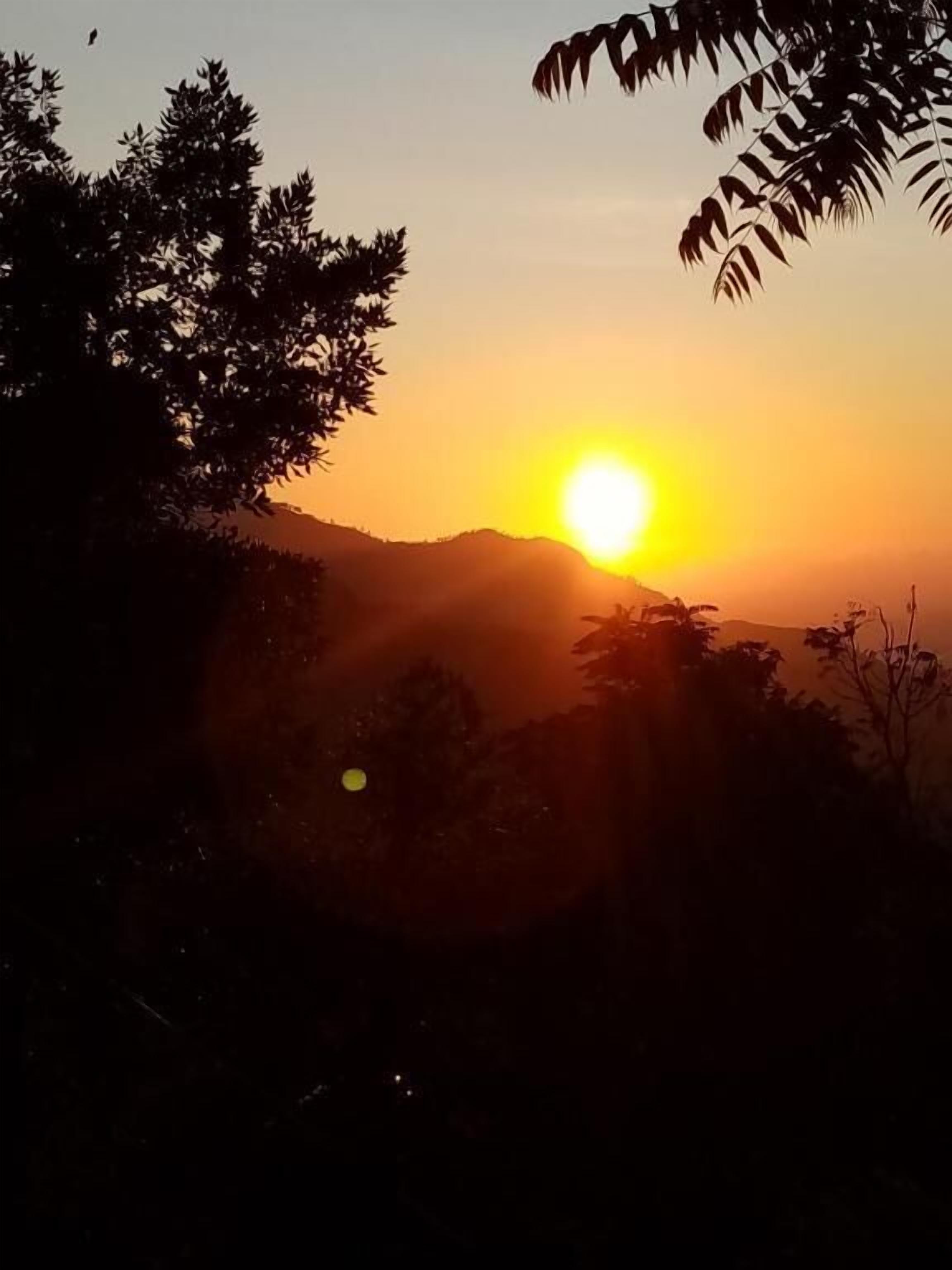 Un atardecer con el sol bajo en el horizonte, siluetas de árboles y una cordillera al fondo.