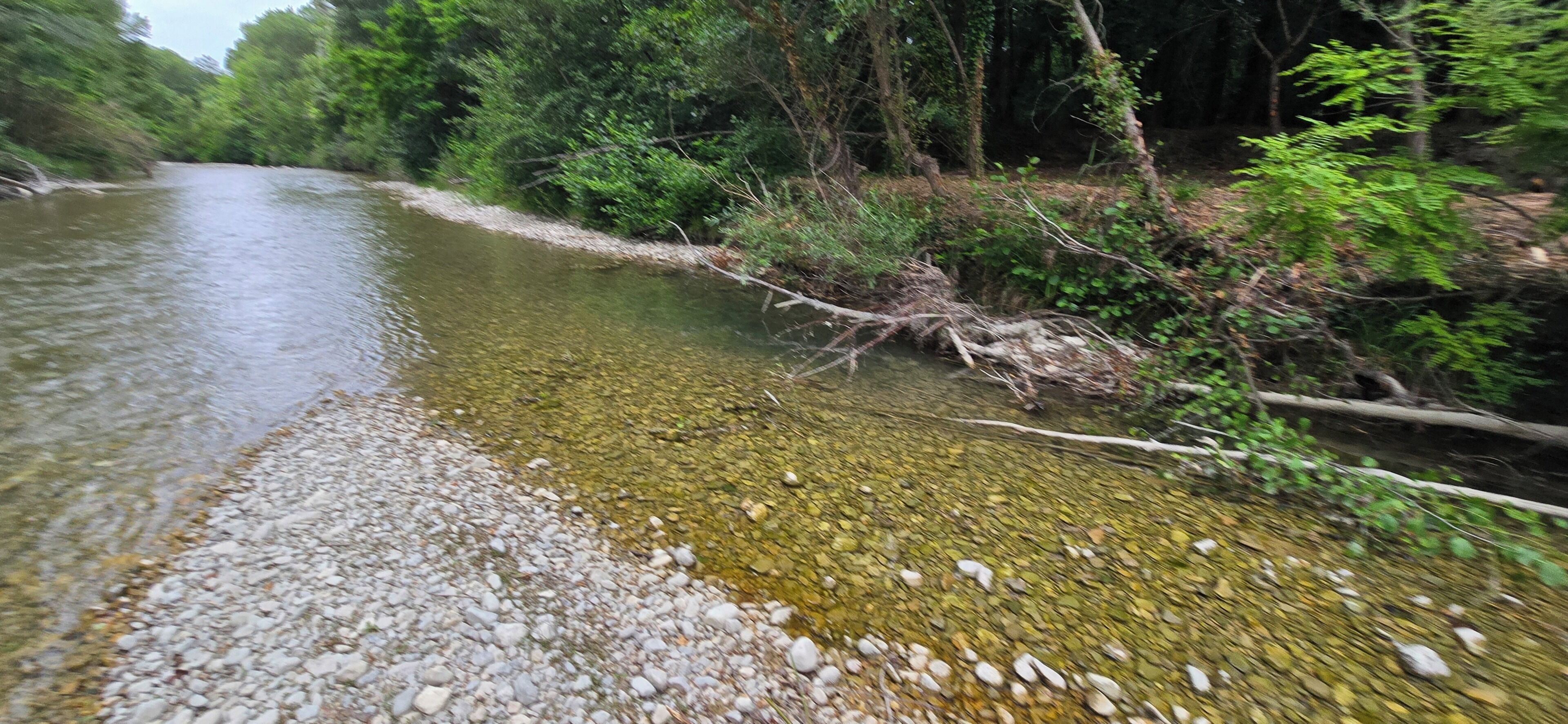 A river with clear water, surrounded by trees and rocks.