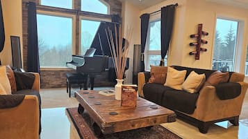 TV, fireplace, video games, books