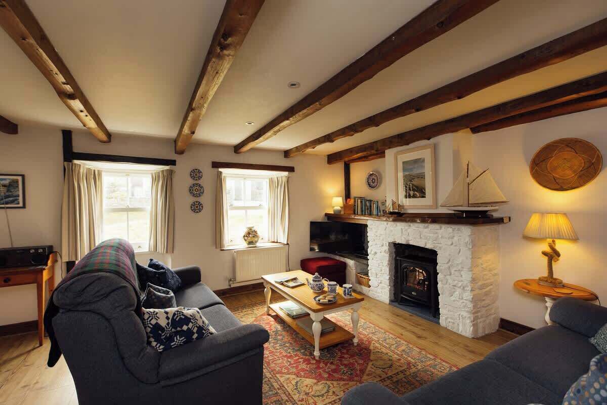 Smart TV, chimenea y libros 