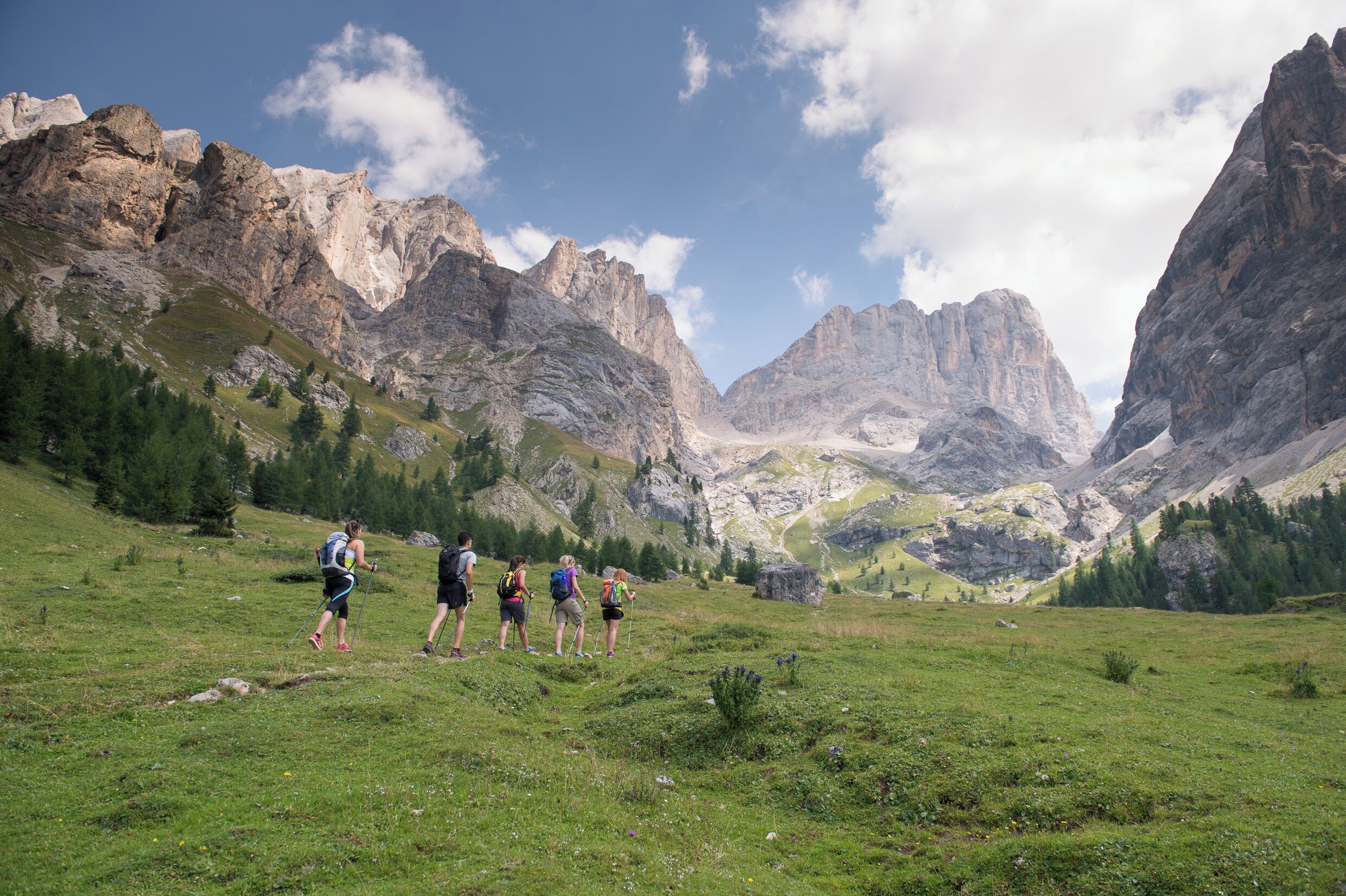 A group of hikers on a grassy mountain trail with rocky mountains in the background.