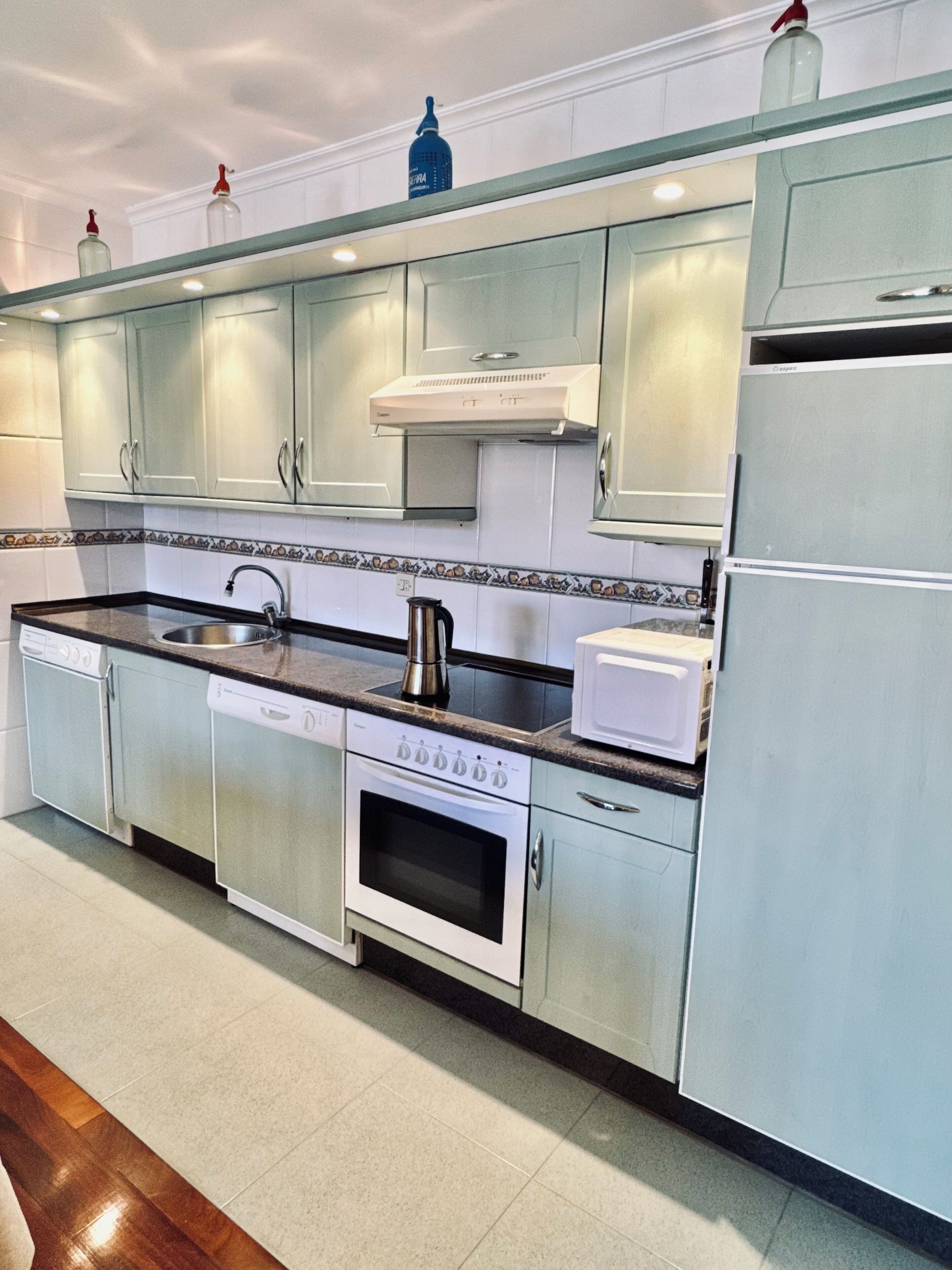 Microondas, horno, placa de cocina y lavavajillas