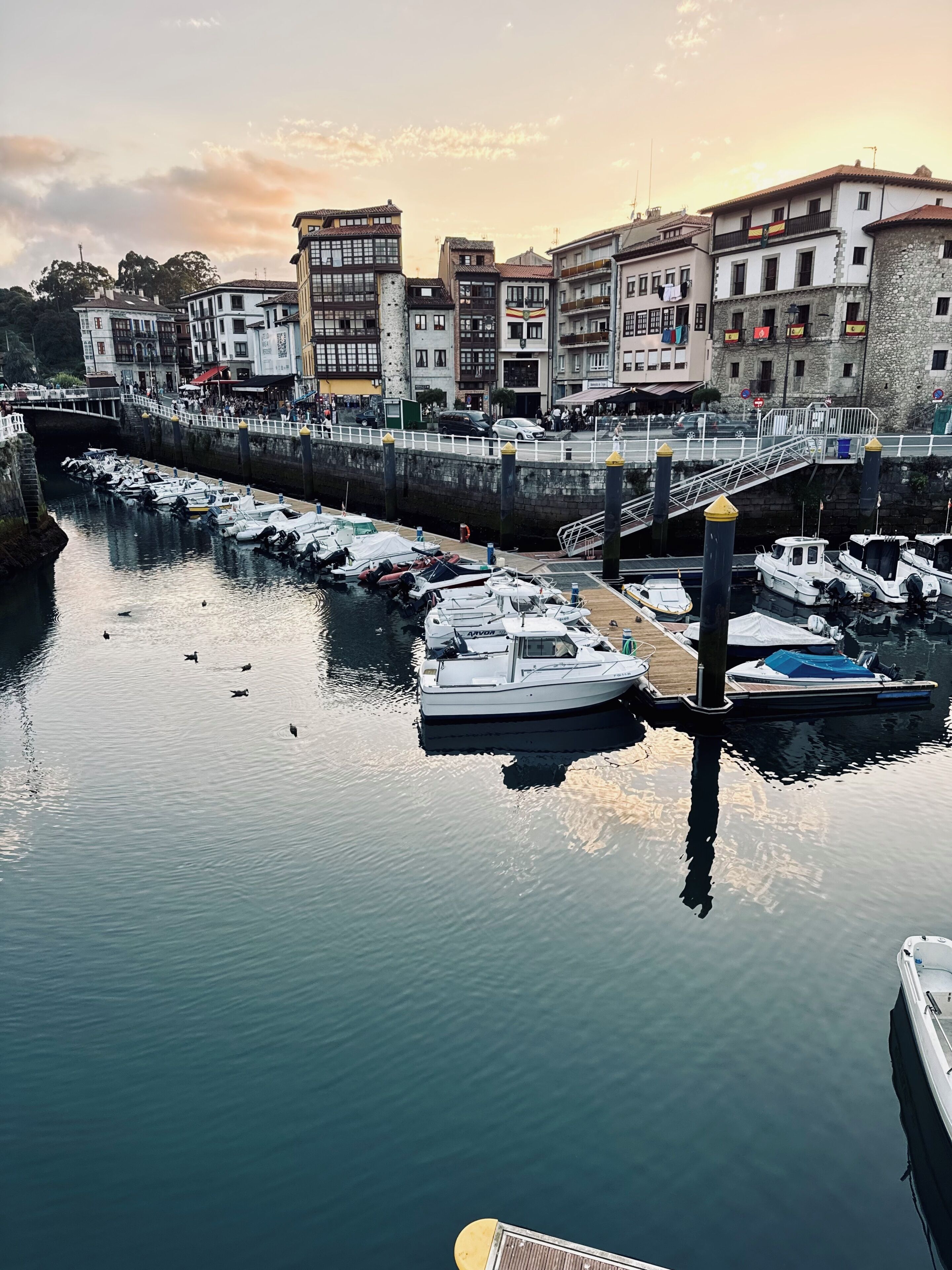 Un port de plaisance avec des bateaux amarrés, un pont et des bâtiments en arrière-plan.