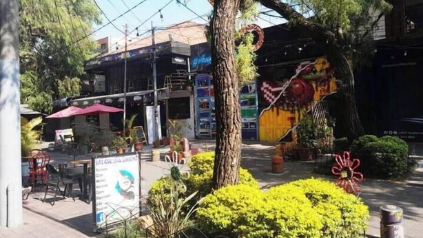 Vista de la calle con terraza al aire libre, un árbol y un edificio con murales coloridos.
