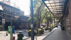 A covered outdoor area with a brick pathway, seating, and greenery. - 2 Nice and comfortable central apartment (Ciudad de Guatemala)