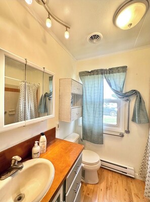 A bathroom with a wooden vanity, a sink, a mirror, a toilet, and a window with curtains.