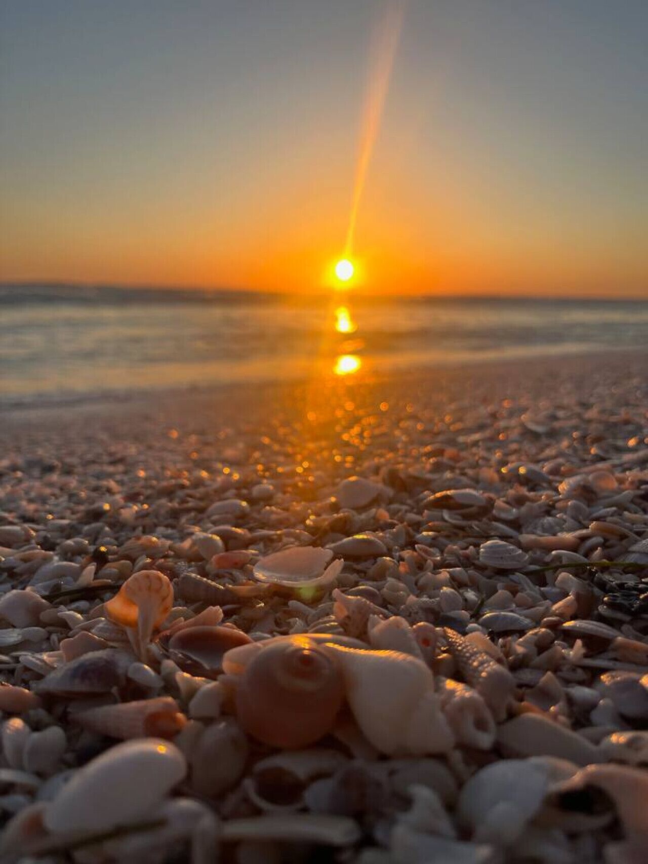 A sunset over a pebbled beach with shells.