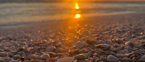 A sunset over a pebbled beach with shells.