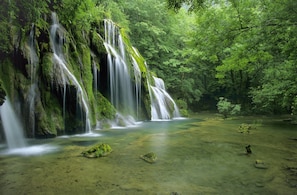 Miscellaneous - Bulle nature jura (Publy)