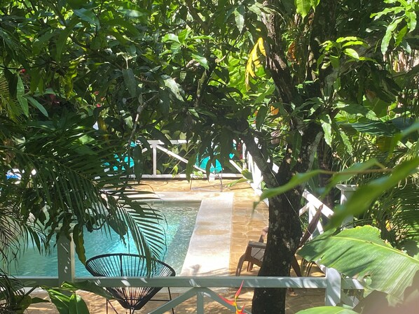 Outdoor pool - Linear Carpenter House (Cobano)