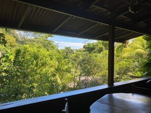 Property grounds - Linear Carpenter House (Cobano)