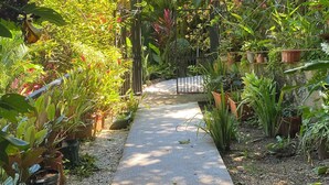 A pathway flanked by lush greenery and potted plants, leading through a garden area. - Linear Carpenter House (Cobano)