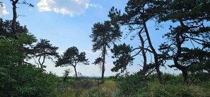 Imagen sin descripción, 5 de 35, botón