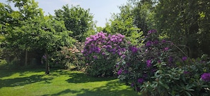 Un jardin luxuriant, parsemé de diverses plantes à fleurs et d’arbres.