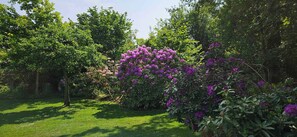 Imagen sin descripción, 4 de 35, botón