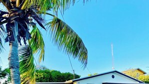 A single-story house with a garage, a number 2145 on the door, and a palm tree in the foreground. - Serene 3-bedroom house with AC in Fort Lauderdale (Fort Lauderdale)