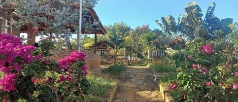 Un sendero de piedra conduce a una construcción de madera rústica con una pérgola cubierta de flores blancas.