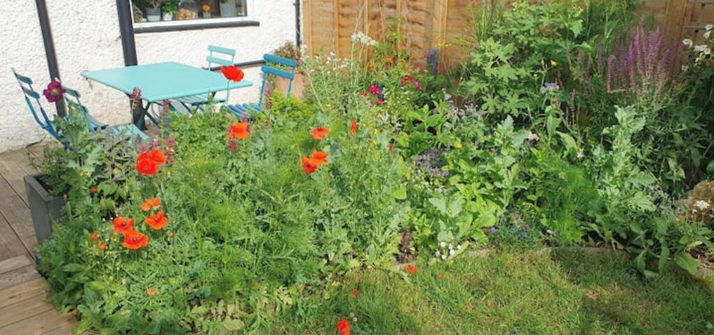 Un jardin agrémenté de diverses plantes et fleurs, une terrasse en bois, ainsi qu’une table et des chaises bleues.