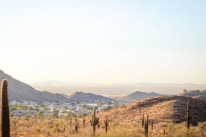 A desert landscape with cacti and distant mountains.