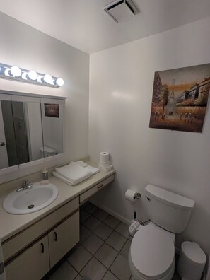 Shower, hair dryer, bidet, towels