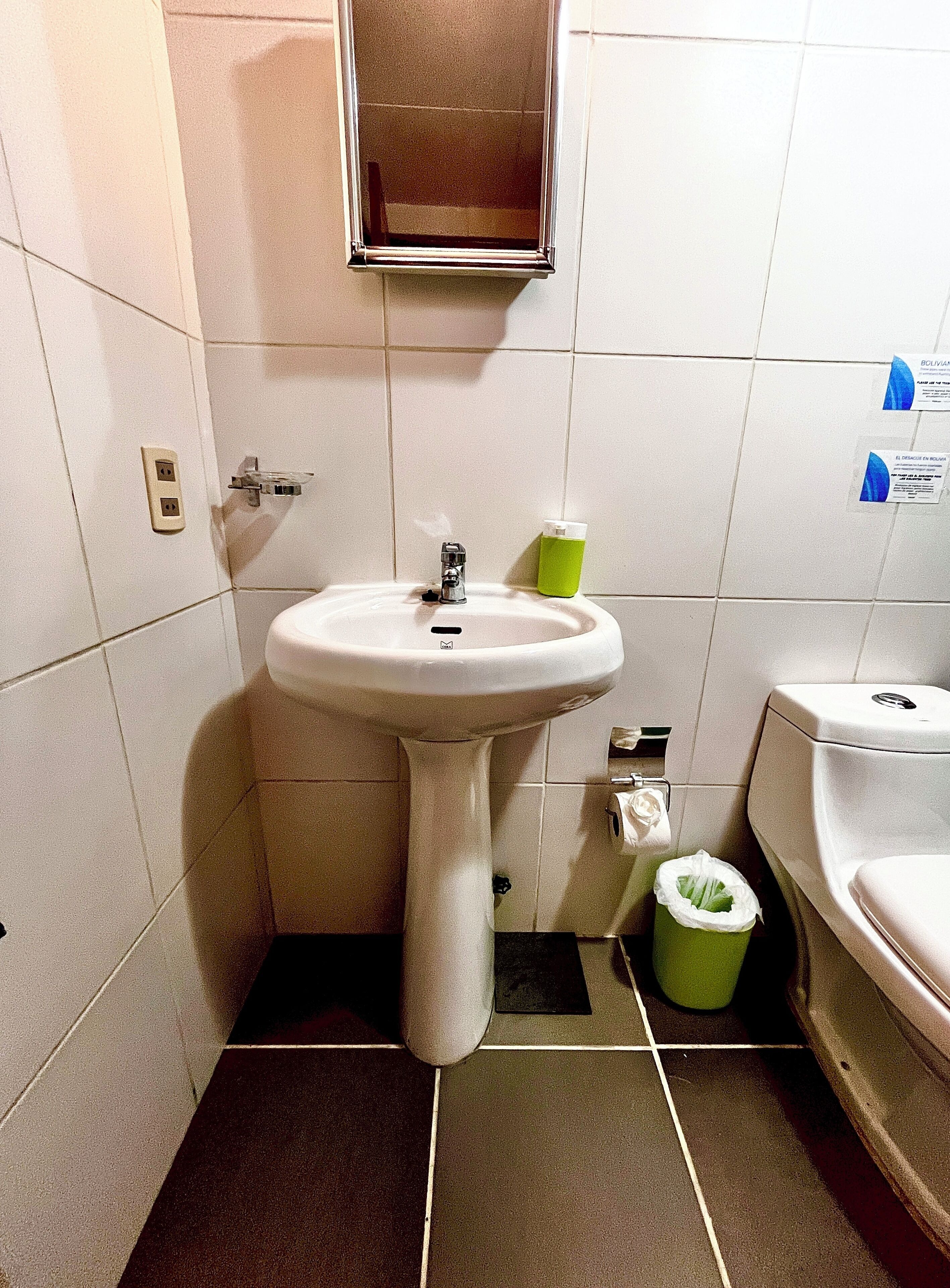 A bathroom with a pedestal sink, a mirror above it, and a toilet to the right. There is a green trash bin next to the toilet.
