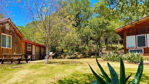 Une cabane en bois avec une table de pique-nique et un barbecue, entourée d’une cour verdoyante et de diverses plantes.