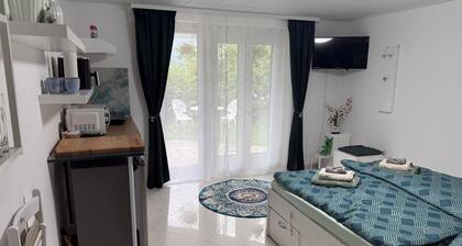 Romantic studio surrounded by vineyards II