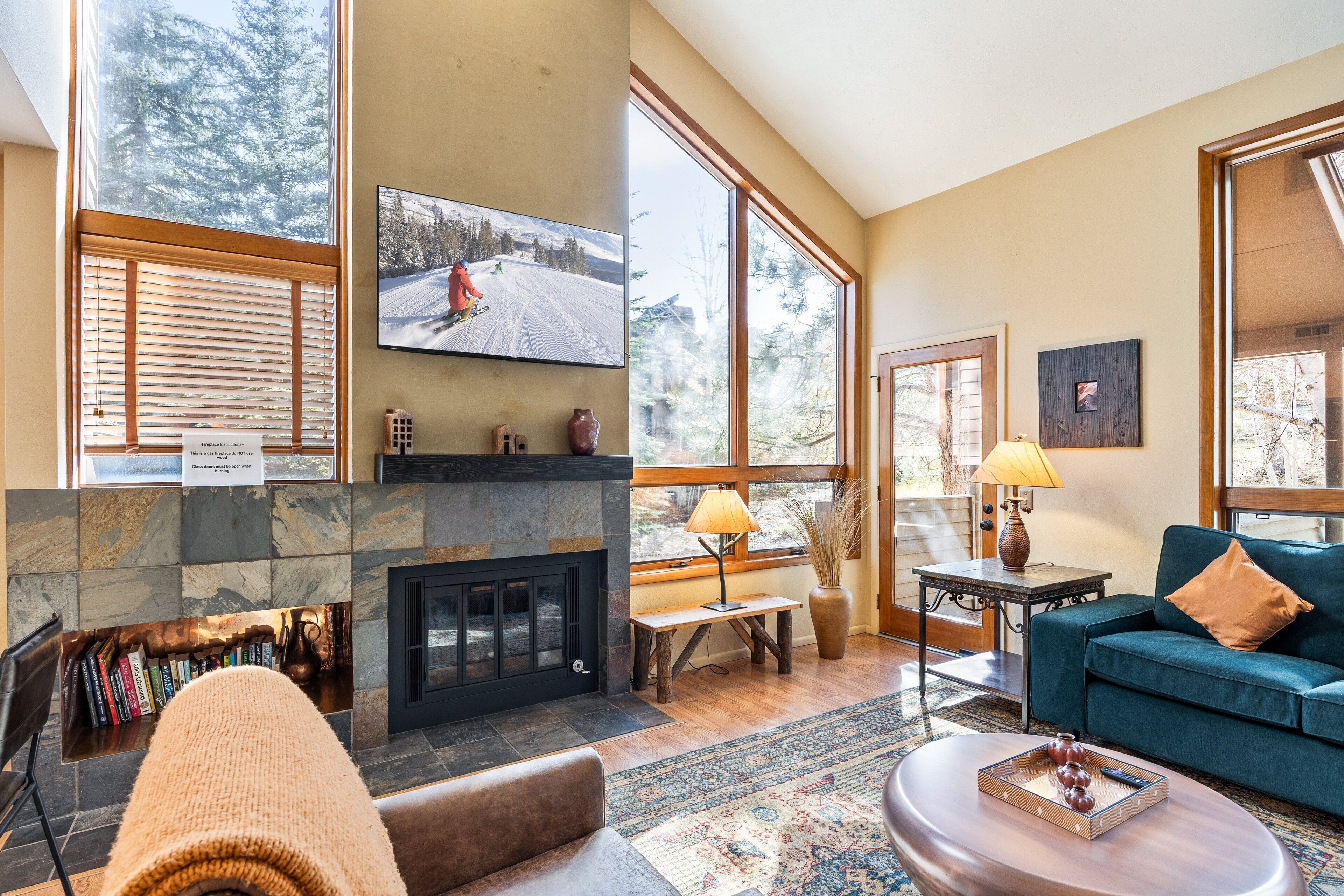 Smart TV, chimenea, libros, estéreo