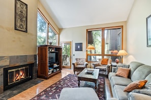 Smart TV, fireplace, books, stereo