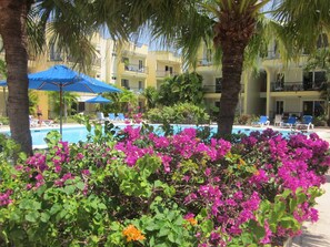 Pool - Ground Floor Centrally located in beautiful Sosúa, 5 minutes' walk to everything (Sosúa)