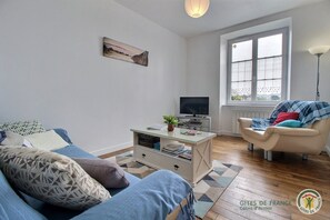 تلفزيون، مشغل دي في دي