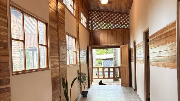 Un pasillo con paredes y techo de madera, plantas en macetas y vistas al exterior.