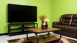 A living room with a flat-screen TV, a brown leather sofa, a coffee table with vases, and a patterned rug. - Enjoyable apartment with AC in Kingston (Kingston)