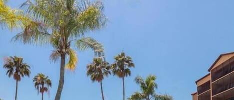 4 من حمّامات السباحة الخارجية