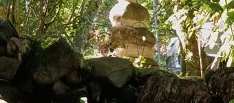 Cozy 1-bedroom cabin in Boquete