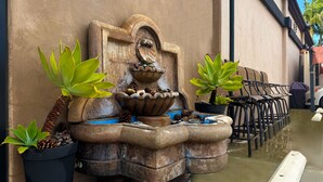 Una fuente de piedra con un elemento acuático, rodeada de macetas con plantas y piñas.