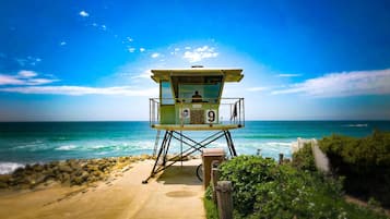 Sun loungers, beach towels