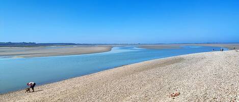 A pebbly beach with a calm water body and a clear sky.