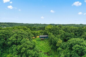 A house surrounded by dense green forest. - Brand new modern cabin with beautiful river view. (Eastman)