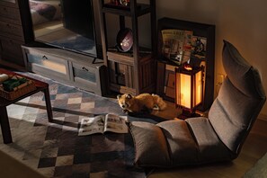TV