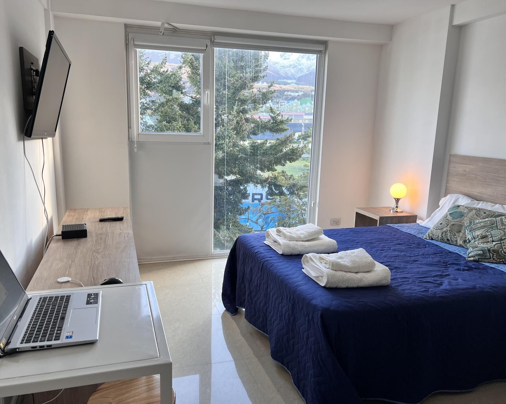 Iron/ironing board, internet, bed sheets