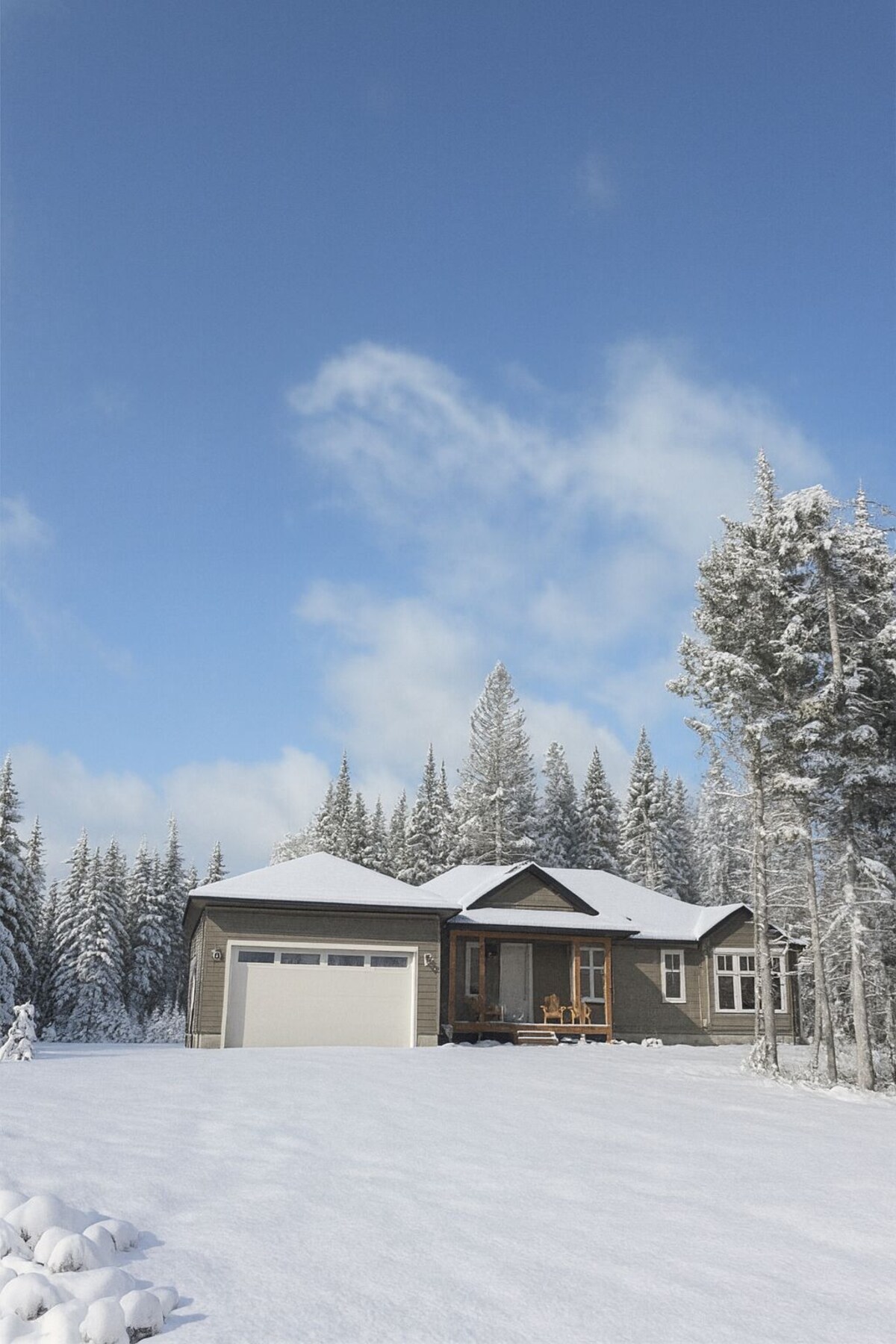 Imagen de perfil del propietario o de la propietaria