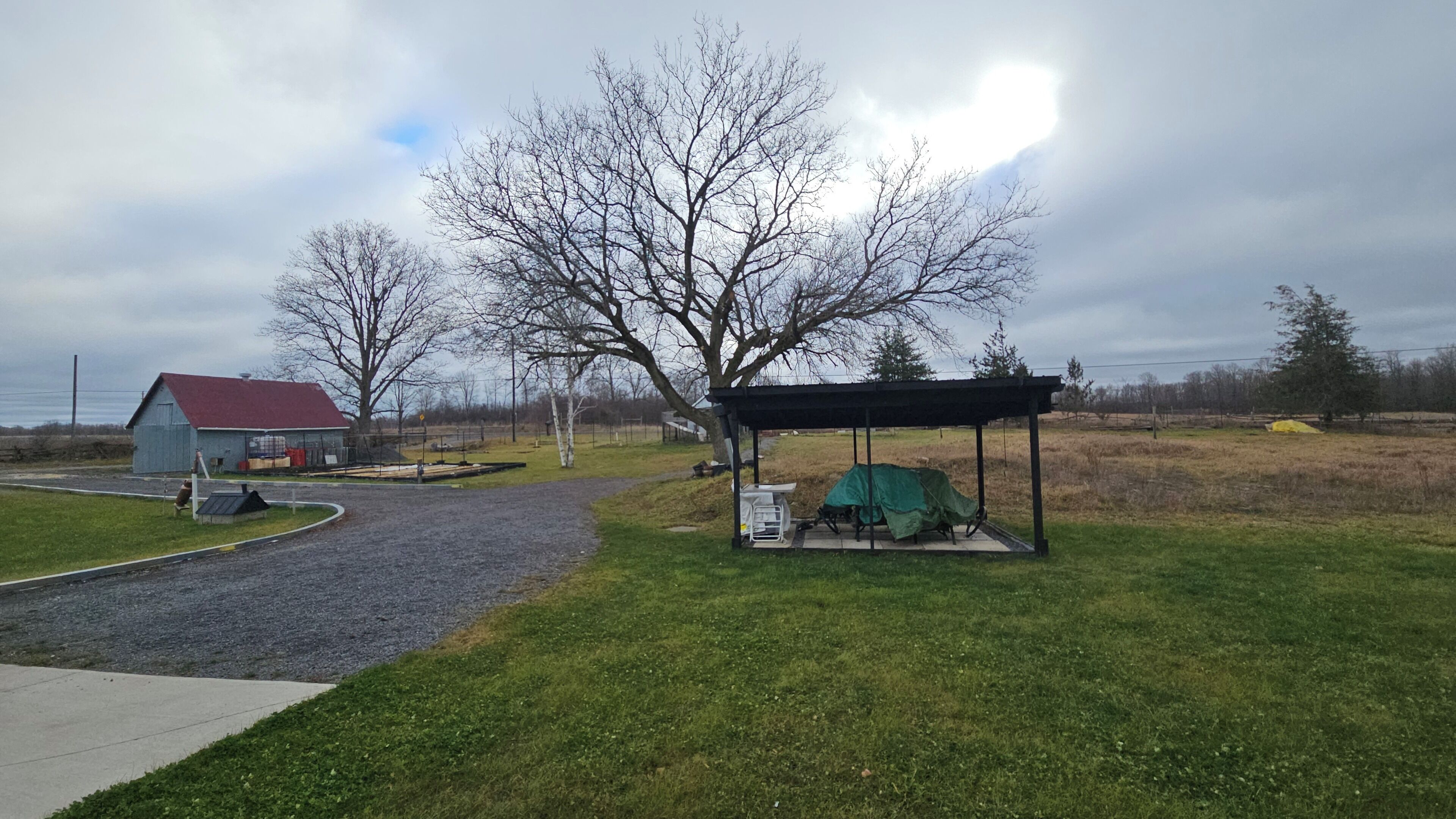 Ambiente rural com um caminho de cascalho que leva a uma área coberta para piquenique, um pequeno galpão e árvores sem folhas.
