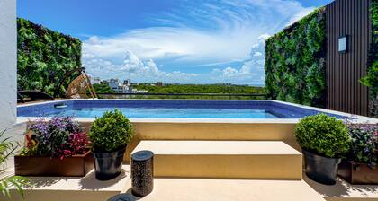3 BR Luxury Penthouse with Private Rooftop Pool, steps from Beach and 5th Ave